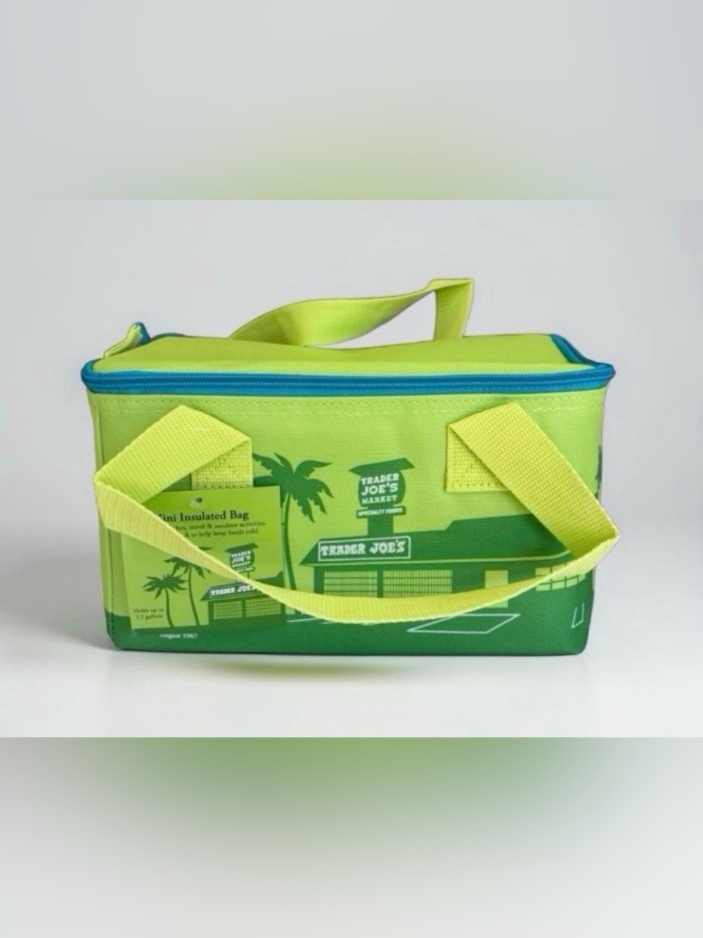 Trader Joe's Summer Green/Blue Insulated Mini Lunch Tote